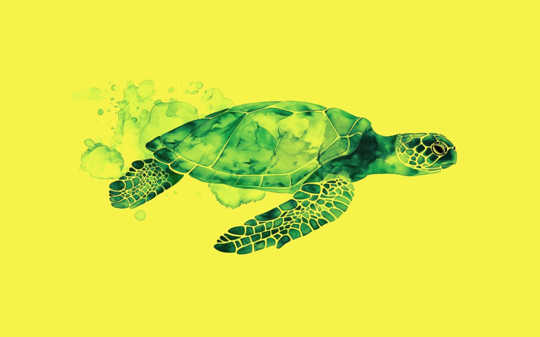 The turtle is going to read