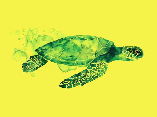 The turtle is going to read